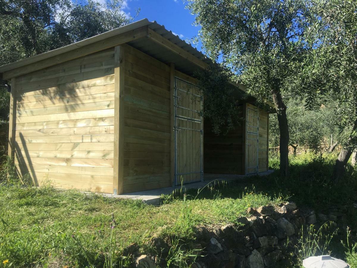 Agriturismo Oltrealmare Civezza Extérieur photo